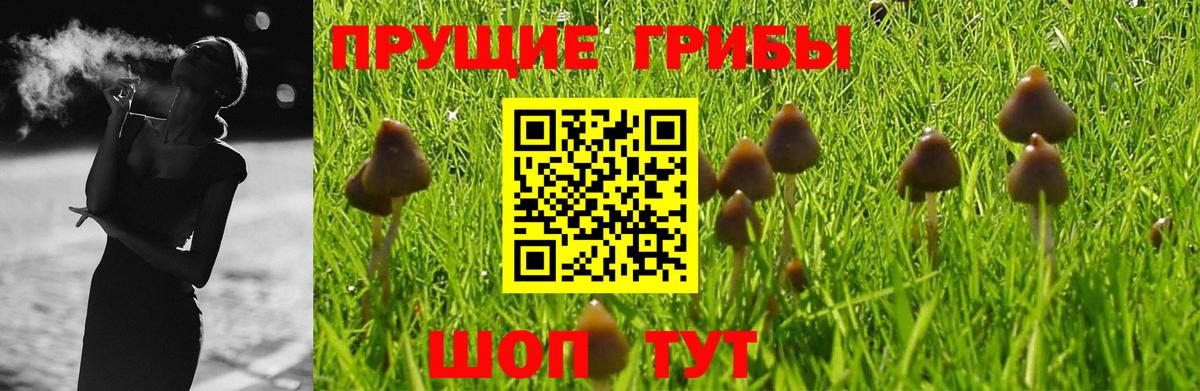 Псилоцибиновые грибы Psilocybine cubensis  Псилоцибиновые грибы MAGIC MUSHROOMS  Волжский  Вход с VPN 